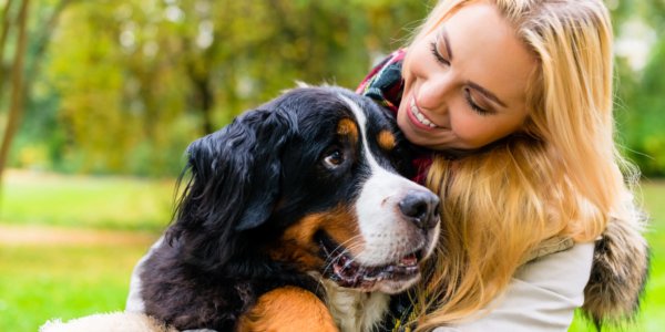 Advantages And Duties Of a Pet Sitter
