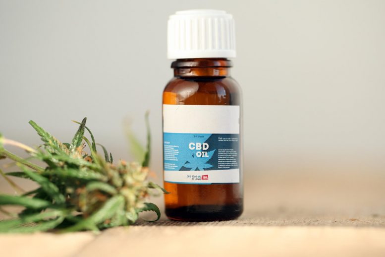 Your Guide To Finding Good Quality CBD Tincture